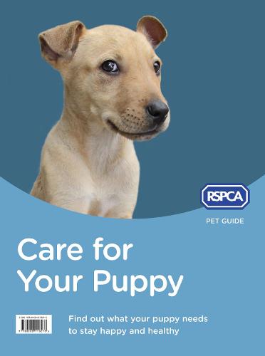 Care for Your Puppy