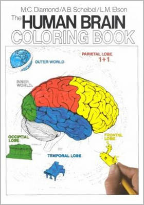 The Human Brain Coloring Book