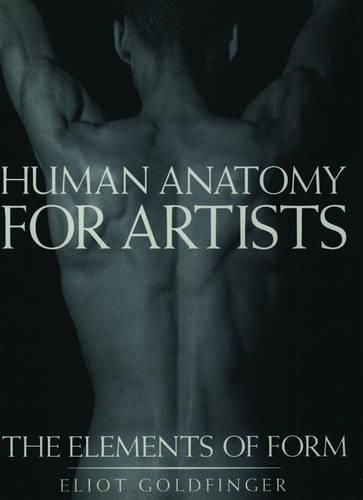 Human Anatomy for Artists