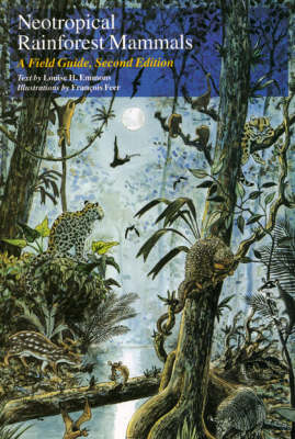 Neotropical Rainforest Mammals