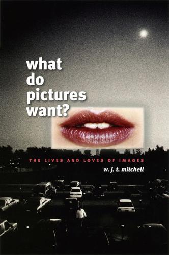 What Do Pictures Want?