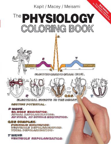 Physiology Coloring Book, The