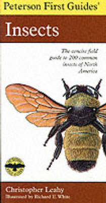 First Guide to Insects