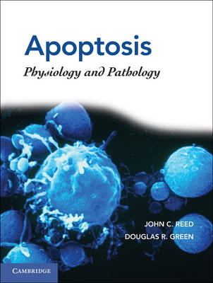 Apoptosis