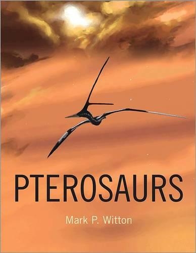 Pterosaurs