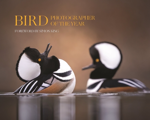 Bird Photographer of the Year