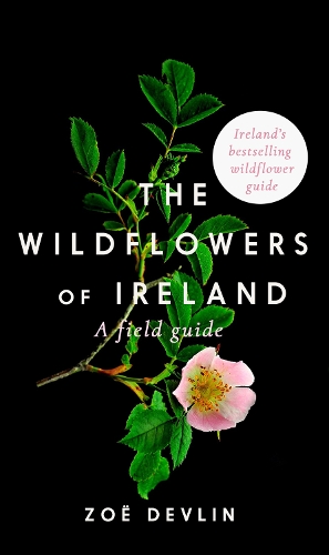 The Wildflowers of Ireland by Zoe Devlin