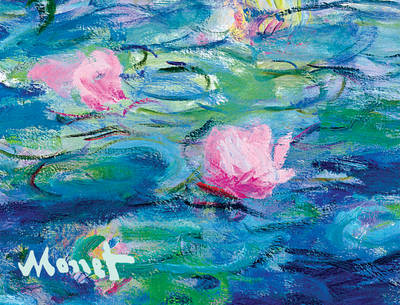 Monet Waterlilies Portfolio Notes