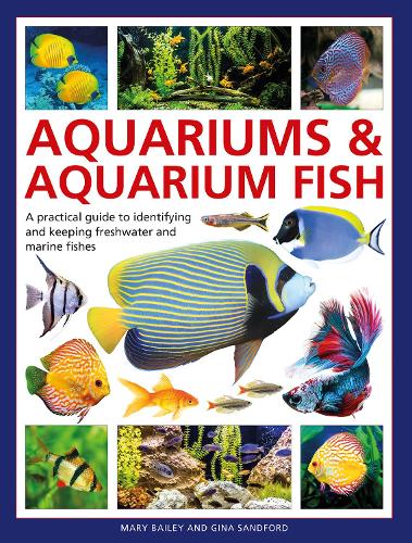 Aquariums & Aquarium Fish