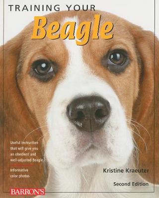 Training Your Beagle