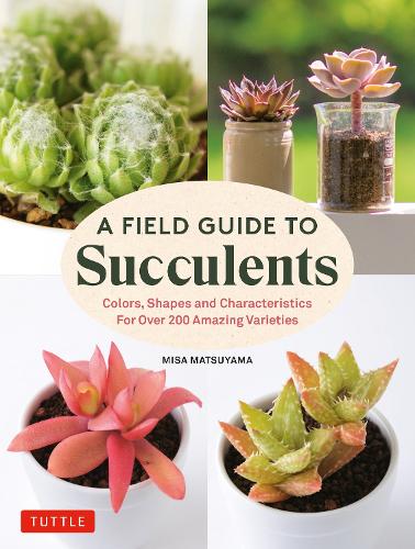 A Field Guide to Succulents by Misa Matsuyama | HodgesFiggis