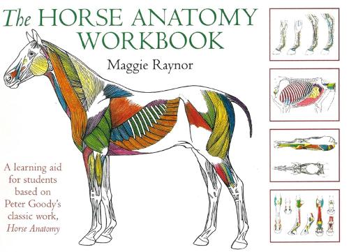 Horse Anatomy Workbook