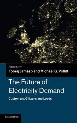 The Future of Electricity Demand