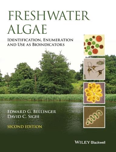 Freshwater Algae