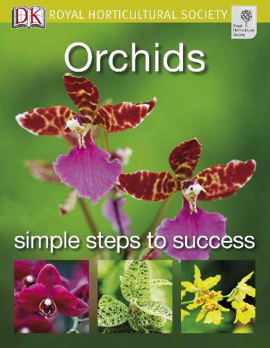 Orchids