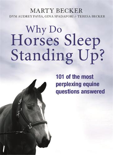 Why Do Horses Sleep Standing Up?