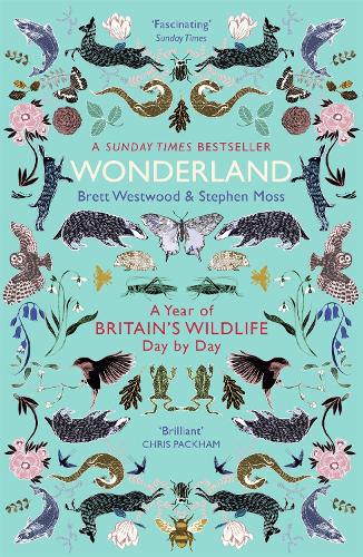 Wonderland