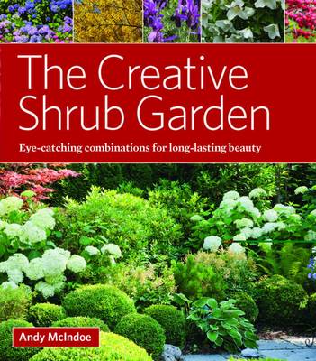 Creative Shrub Garden Eye-Catching Combinations for Year Round Interest