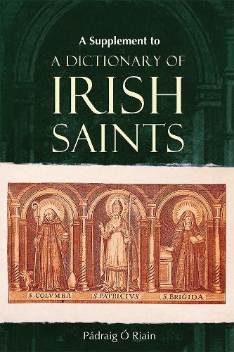 A dictionary of Irish Saints