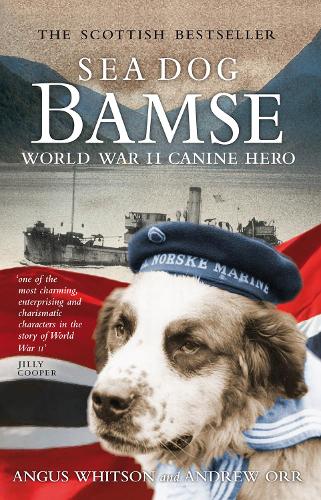 Sea Dog Bamse