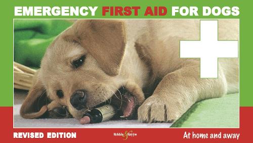 Emergency First Aid for Dogs