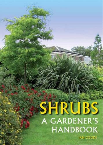 Shrubs