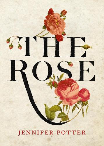 The Rose