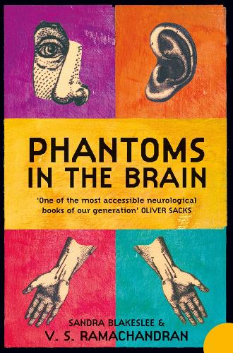 Phantoms in the Brain