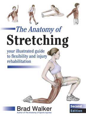 The Anatomy of Stretching