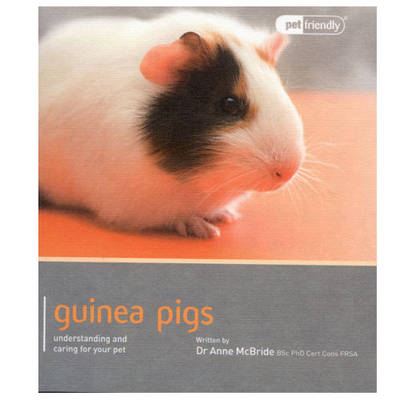 Guinea Pig - Pet Friendly