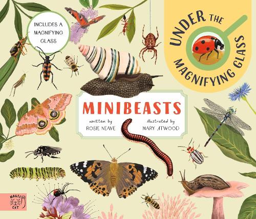 Minibeasts: Under the Magnifying Glass
