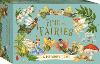 Find the Fairies