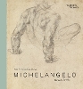 Michelangelo: the last decades