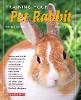 Training Your Pet Rabbit