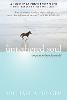 The Untethered Soul