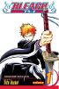 Bleach, Vol. 1