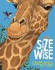 Size Wise
