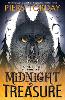 Midnight Treasure