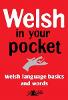 Welsh in your pocket