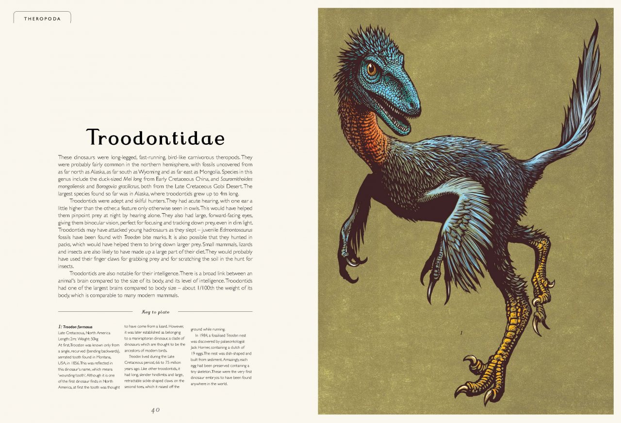 Dinosaurium