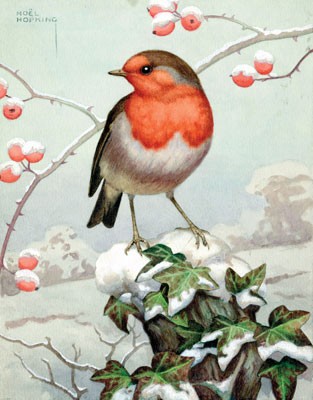 The Robin