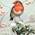 The Robin