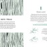 Fifty Things to Do with a Penknife