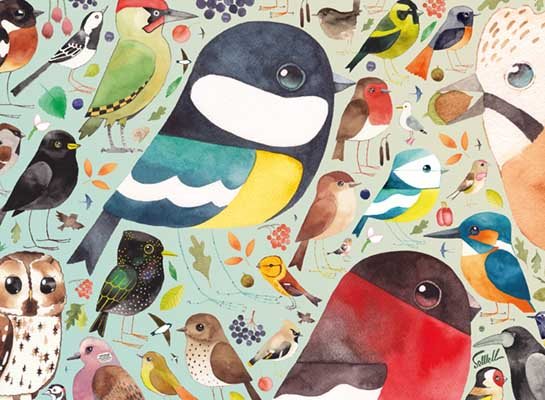 Matt Sewell's Our British Birds 500 Piece Jigsaw Puzzle