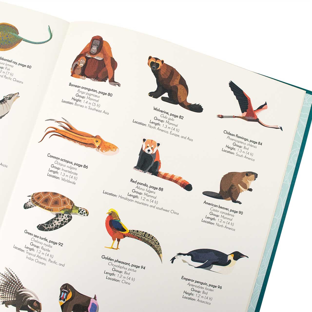 An Anthology of Intriguing Animals