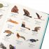 An Anthology of Intriguing Animals