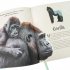 An Anthology of Intriguing Animals