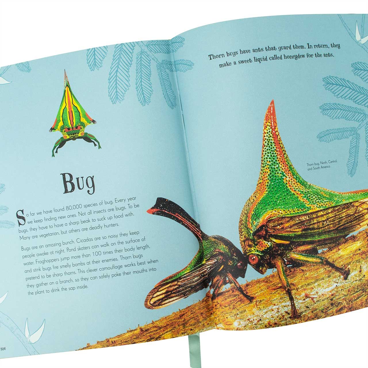 An Anthology of Intriguing Animals