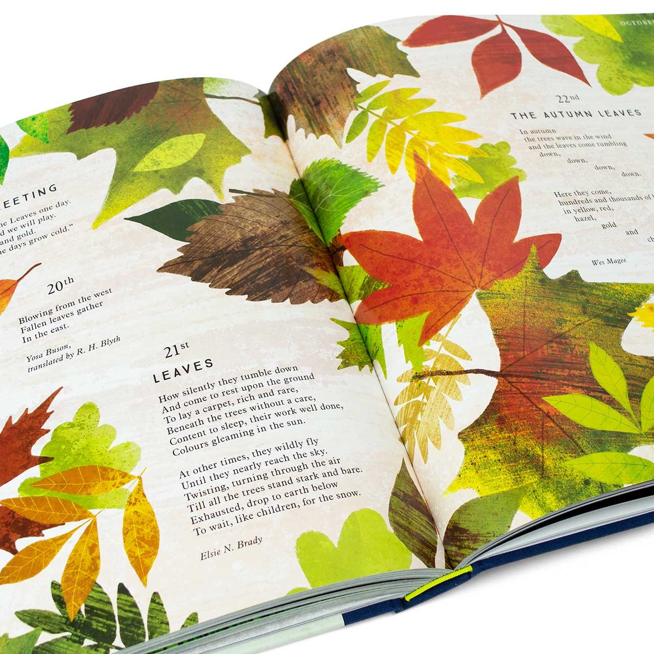 National Trust: I Am the Seed That Grew the Tree, A Nature Poem for Every Day of the Year (Poetry Collections)