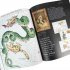 Harry Potter – A History of Magic